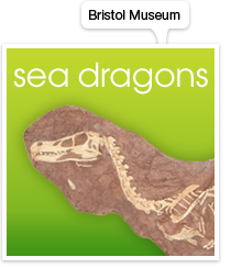 Bristol Museum